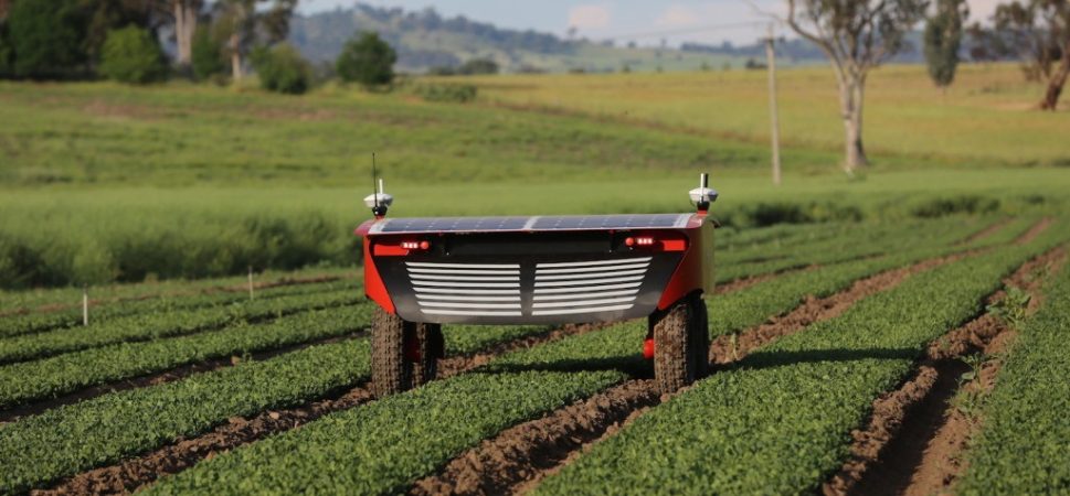 Robots in Agriculture