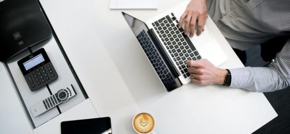 Want to Study Business? Here's Everything You Need to Know