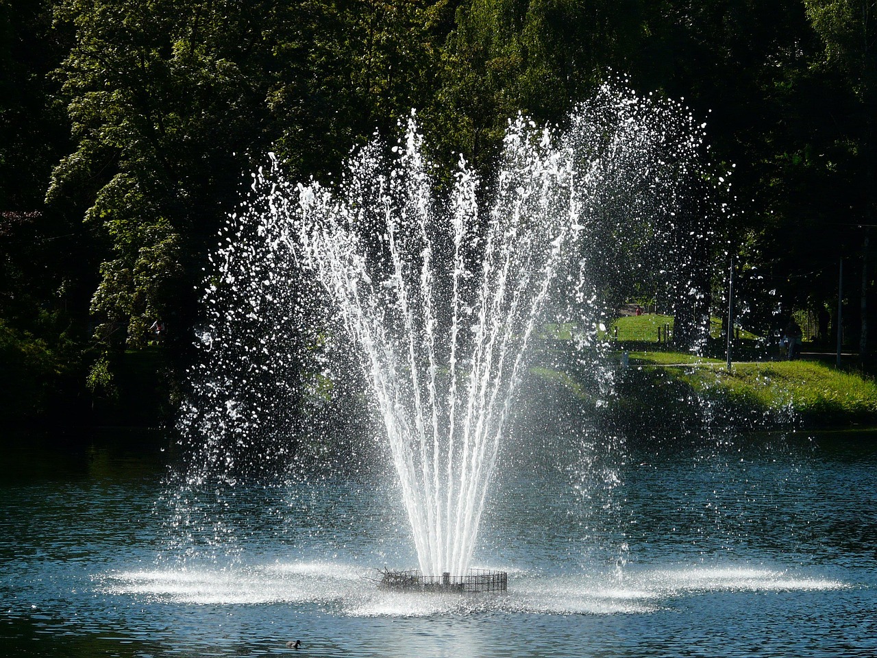 Fountain, nature, water — The Financial Benefits of a PAR System: Reducing Waste and Optimizing Costs