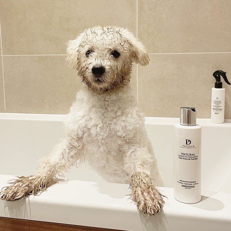What makes a dog shampoo hypoallergenic and suitable for sensitive skin?